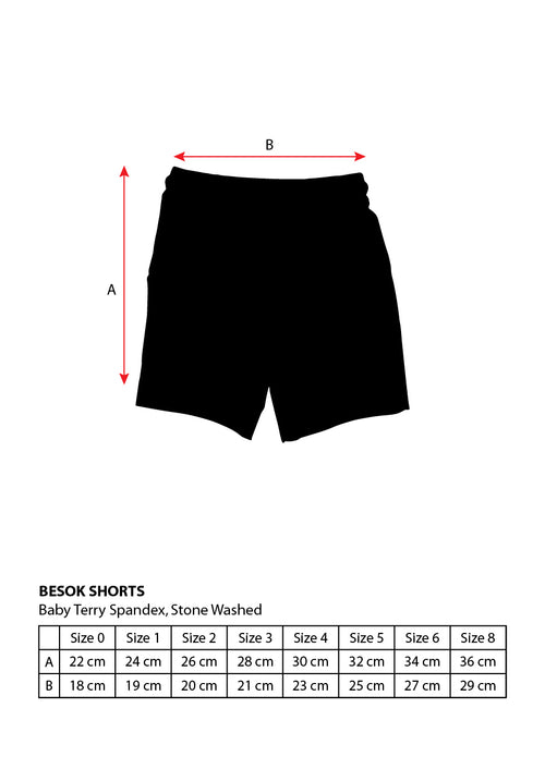 CUBS BESOK SHORTS